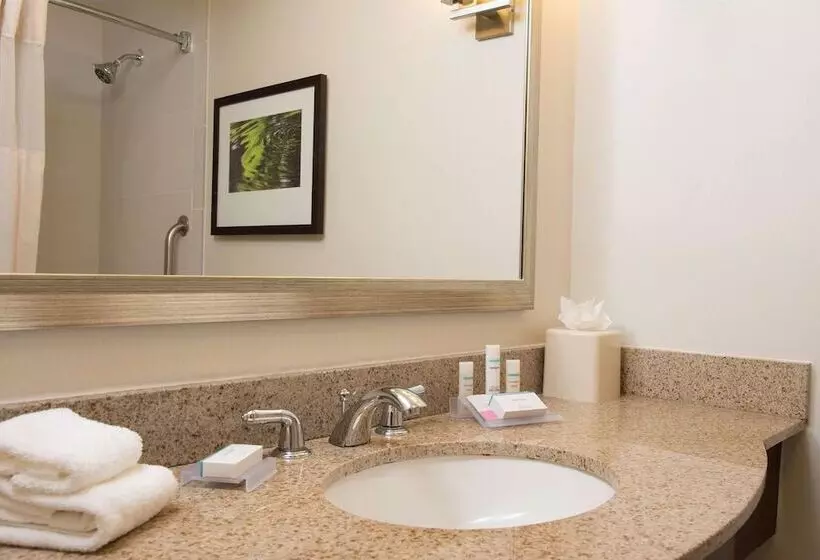 اتاق استاندارد با 2 تخت دوبل, Hilton Garden Inn Lexington Hamburg