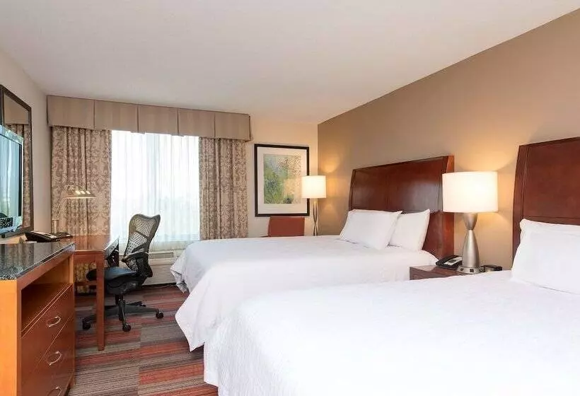 اتاق استاندارد با 2 تخت دوبل, Hilton Garden Inn Lexington Hamburg