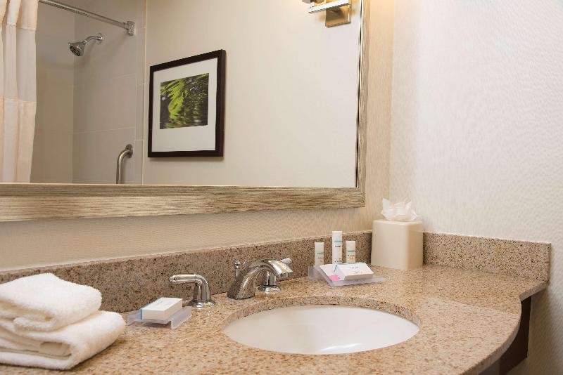 Стандартный Номер Кровать Кинг, Hilton Garden Inn Lexington Hamburg
