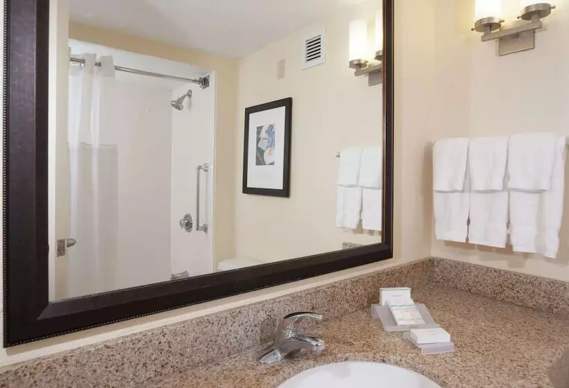 スタンダードルーム, Hilton Garden Inn Orlando Airport
