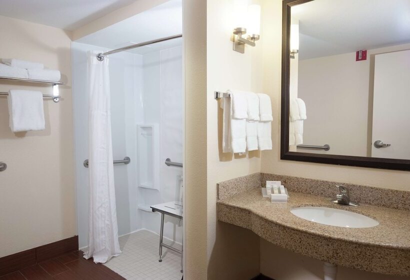 장애인을 위한 스탠다드 룸, Hilton Garden Inn Orlando Airport