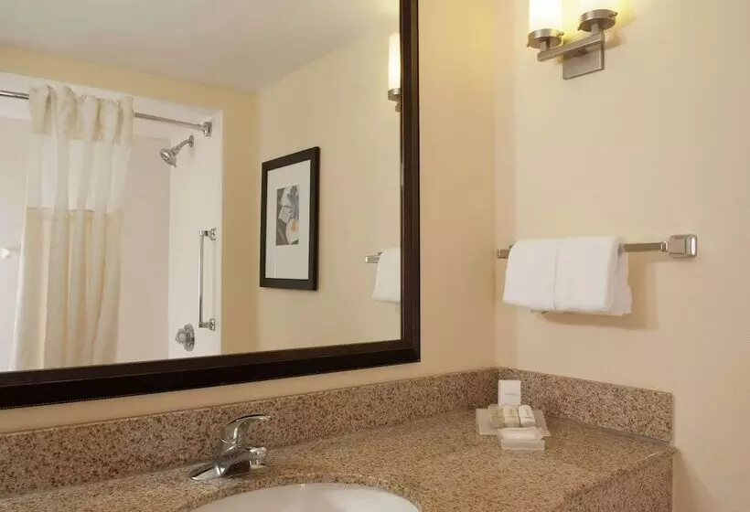 身障者適用スタンダードルーム, Hilton Garden Inn Orlando Airport