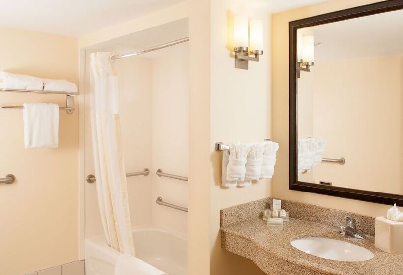 장애인을 위한 스탠다드 룸, Hilton Garden Inn Orlando Airport
