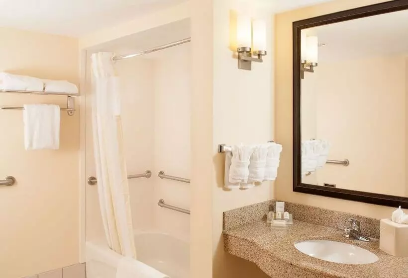 身障者適用スタンダードルーム, Hilton Garden Inn Orlando Airport