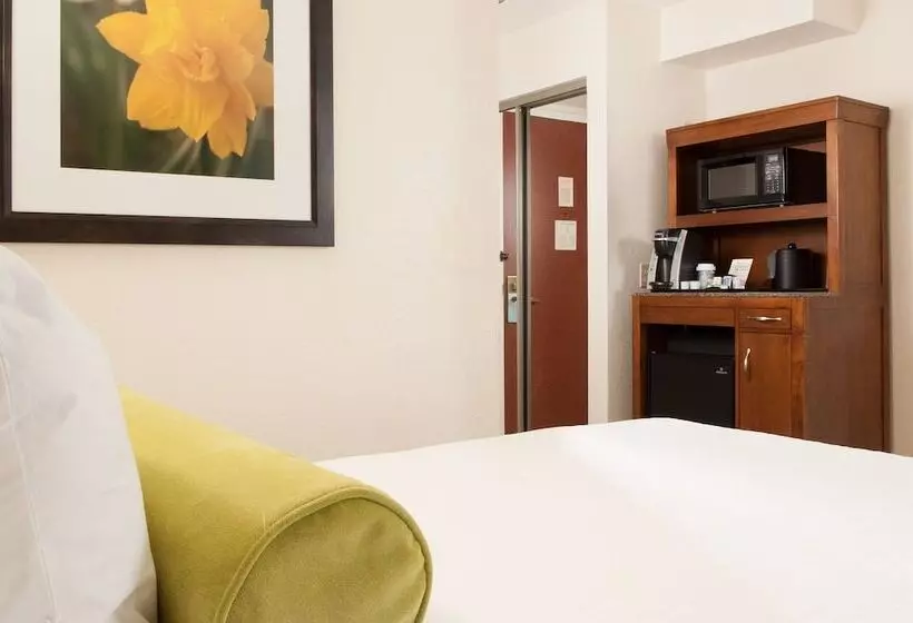 身障者適用スタンダードルーム, Hilton Garden Inn Orlando Airport