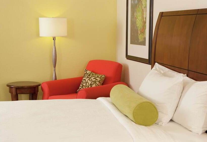 장애인을 위한 스탠다드 룸, Hilton Garden Inn Orlando Airport
