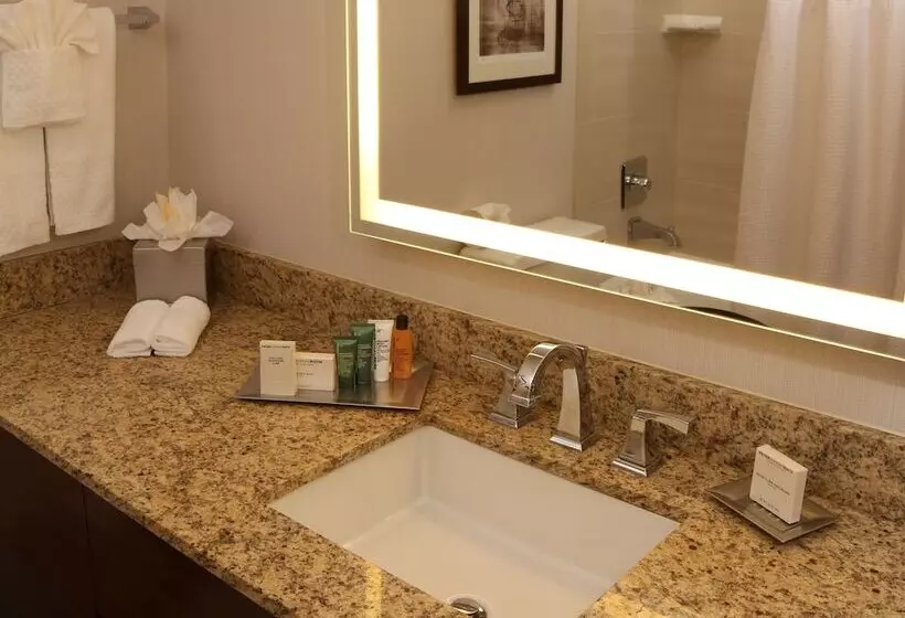 اتاق لوکس با تخت بزرگ, Hilton Kansas City Airport