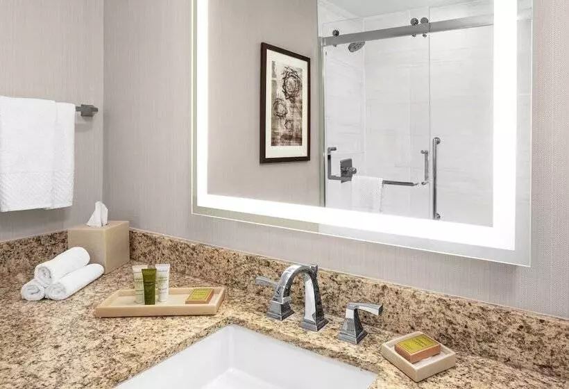 اتاق لوکس با تخت بزرگ, Hilton Kansas City Airport
