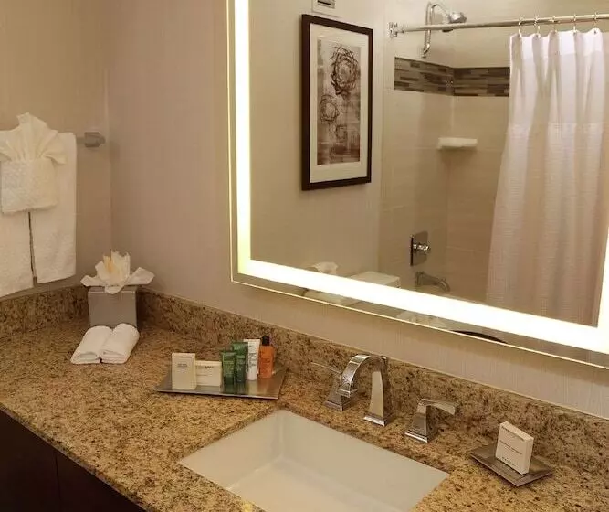 اتاق پرمیوم, Hilton Kansas City Airport