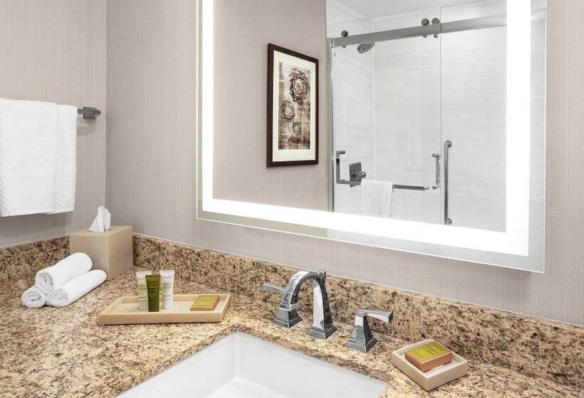 غرفة سوبيريور سرير كينج, Hilton Kansas City Airport