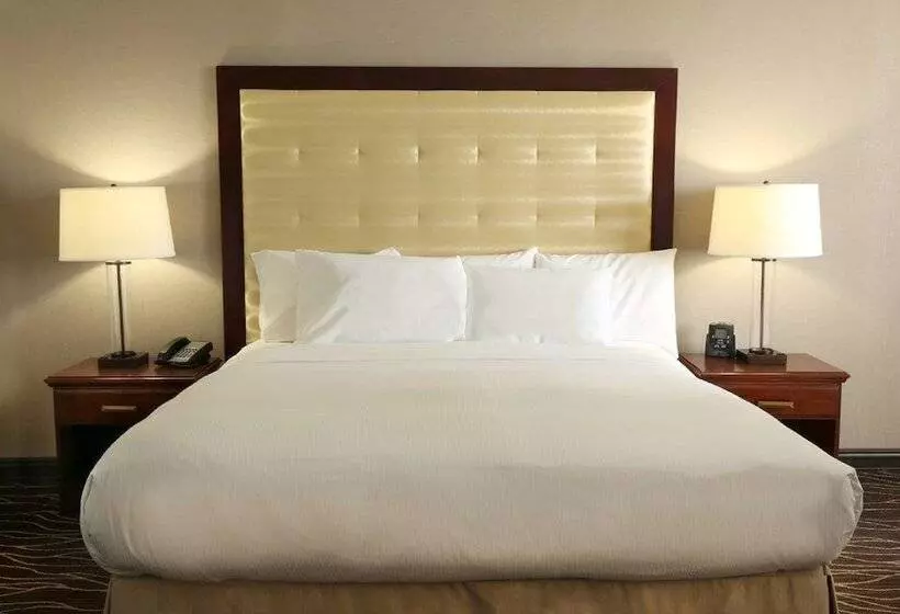 اتاق سوپریور با تخت بزرگ, Hilton Kansas City Airport