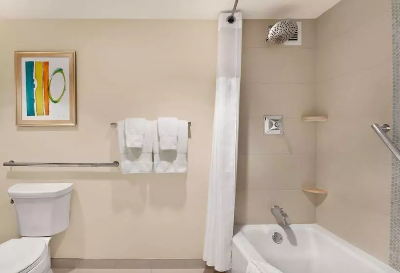 身障者適用ジュニアスイートルーム, Hilton Miami Airport Blue Lagoon