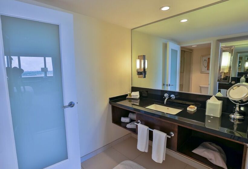 جناح جونيور لذوى الاحتياجات الخاصة, Hilton Miami Airport Blue Lagoon