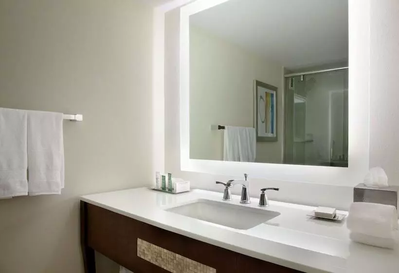 ２ダブルベッドのスタンダードルーム, Hilton Miami Airport Blue Lagoon