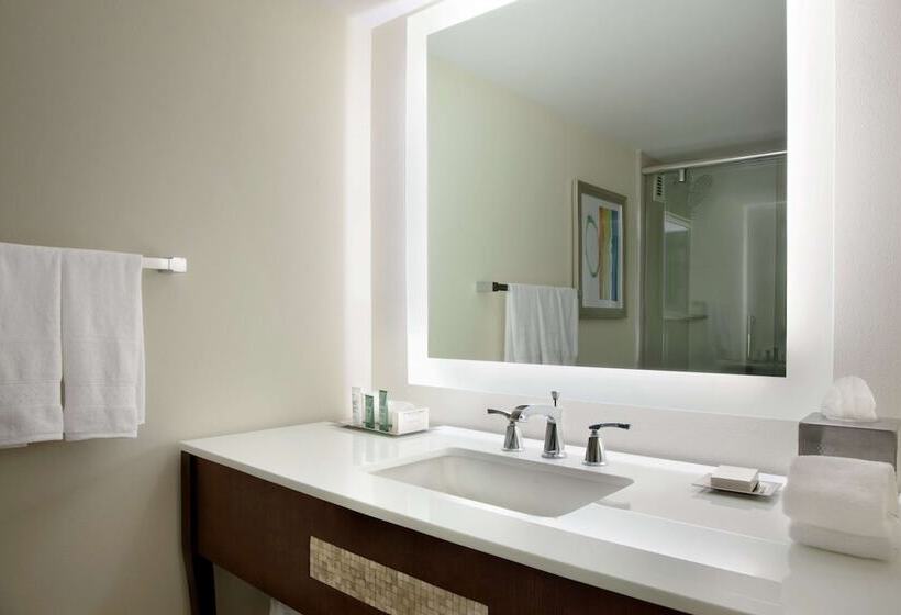 غرفة ديلوكس مطلة على البحيرة, Hilton Miami Airport Blue Lagoon