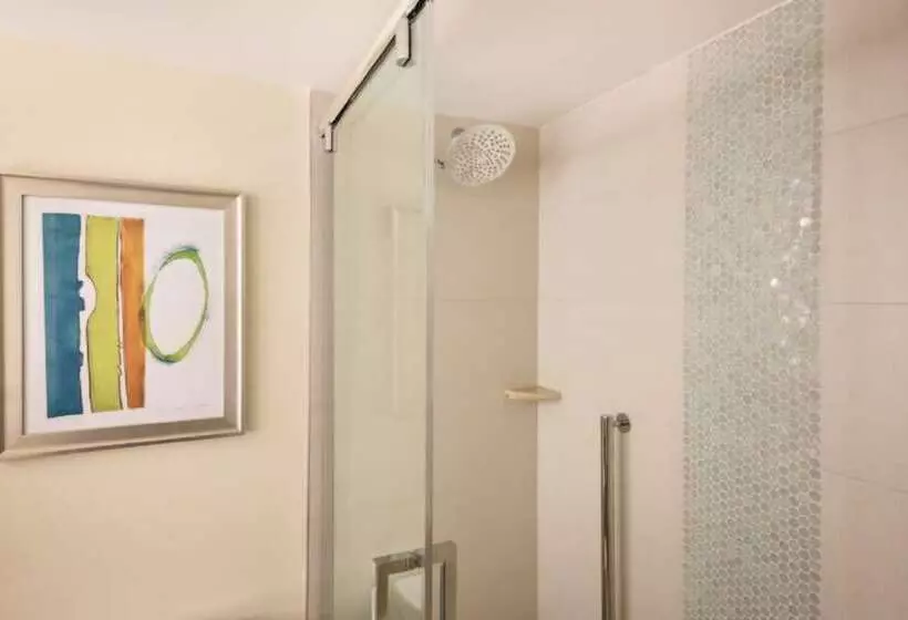 レイクビューデラックスルーム, Hilton Miami Airport Blue Lagoon