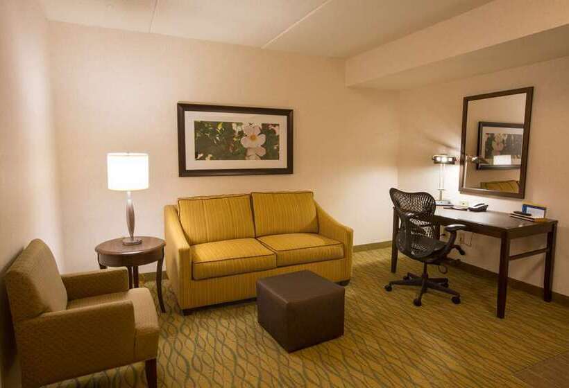 غرفة قياسية, Hilton Miami Airport Blue Lagoon