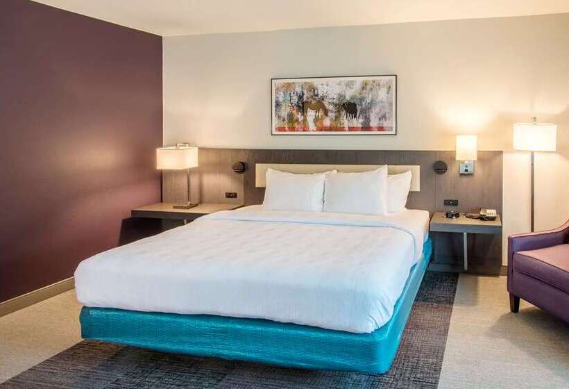 Номер Стандарт Кровать Кинг Адаптированный для Инвалидов, Hilton Miami Airport Blue Lagoon