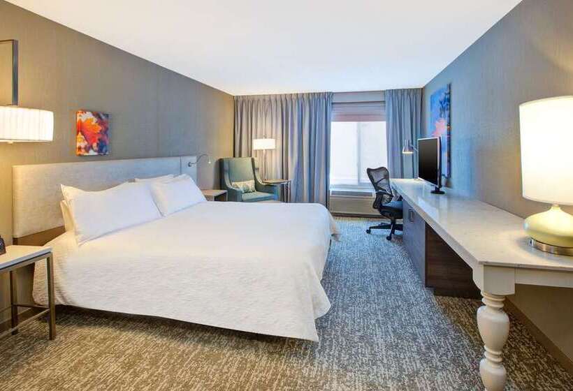 غرفة قياسية سرير كينج لذوى الإحتياجات الخاصة, Hilton Miami Airport Blue Lagoon