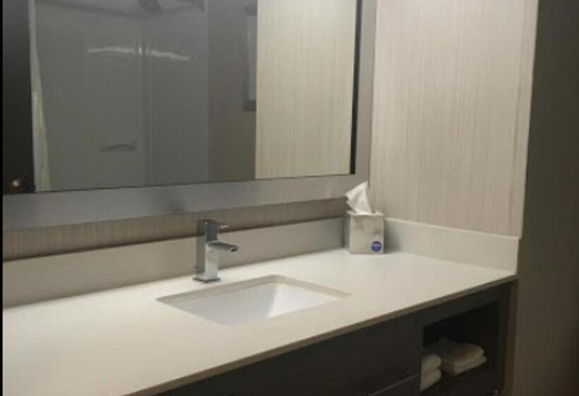 חדר סטנדרט עם מיטת קינג, Sleep Inn & Suites