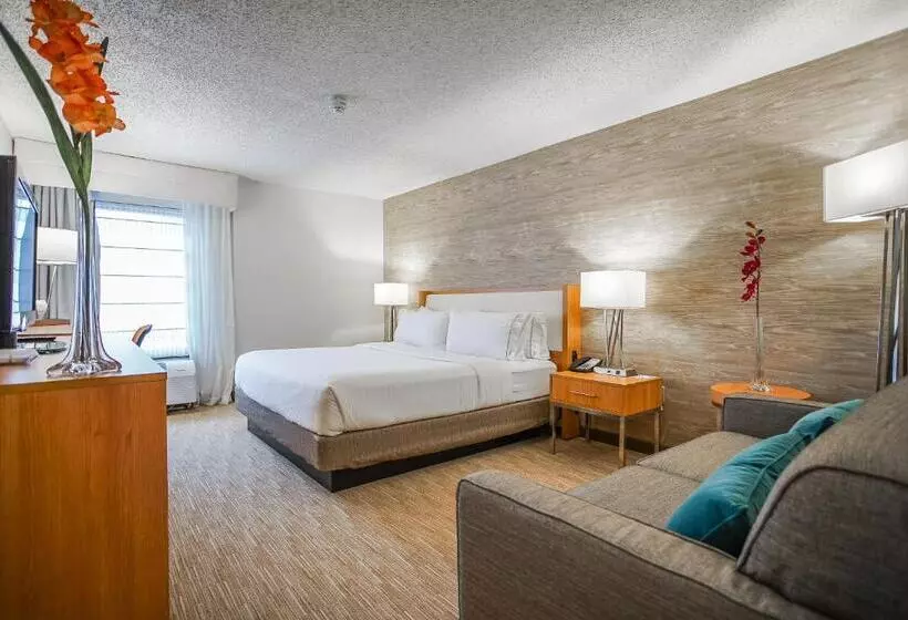 キングサイズベッドのスタンダードルーム, Sleep Inn & Suites