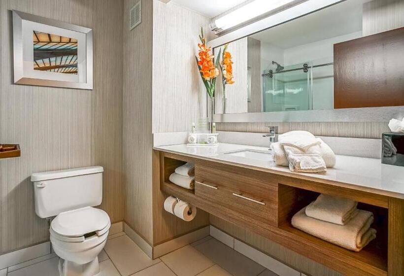 חדר סטנדרט עם מיטת קינג, Sleep Inn & Suites