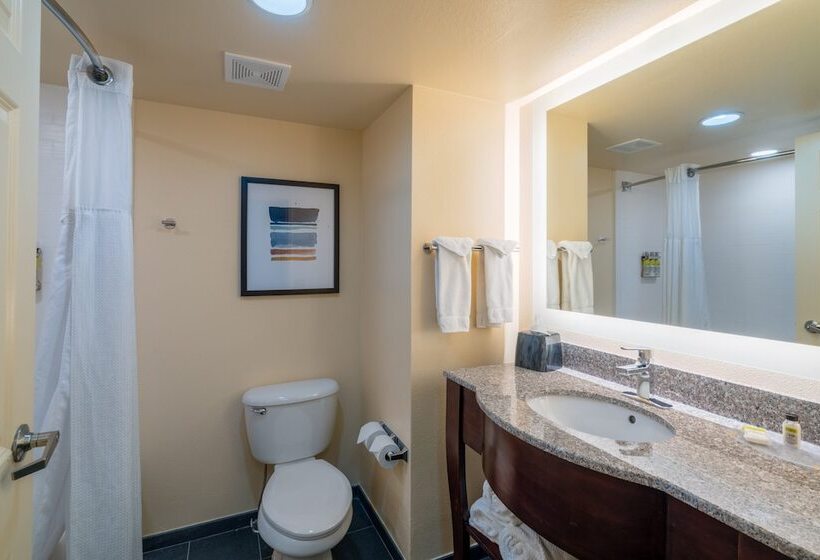 סוויטה מותאמת לאדם עם מוגבלויות, Staybridge Suites Memphis Poplar Ave East, An Ihg