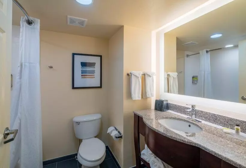 身障者適用スイートルーム, Staybridge Suites Memphis Poplar Ave East, An Ihg
