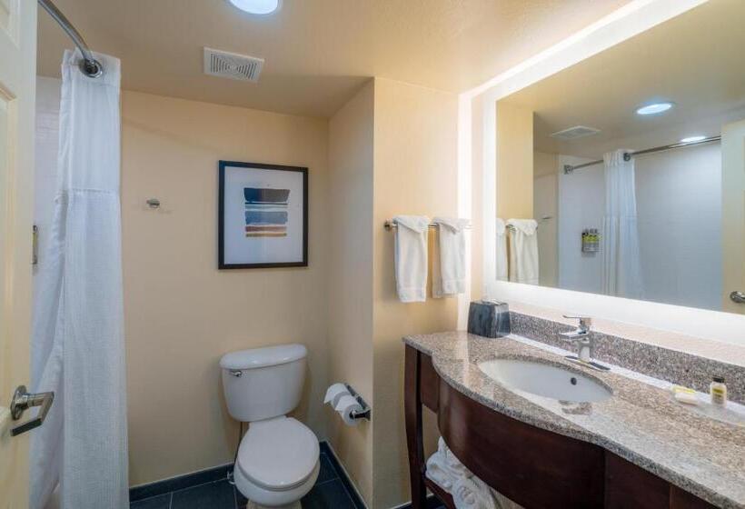 מיטת קינג בסוויטה, Staybridge Suites Memphis Poplar Ave East, An Ihg