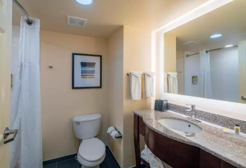 キングサイズベッドのスイートルーム, Staybridge Suites Memphis Poplar Ave East, An Ihg