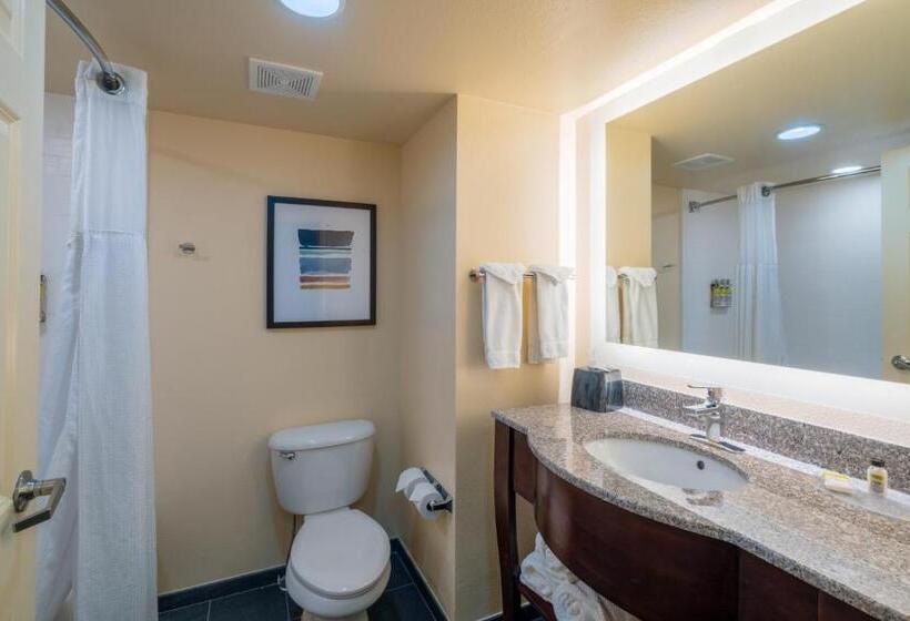 إستوديو قياسى, Staybridge Suites Memphis Poplar Ave East, An Ihg
