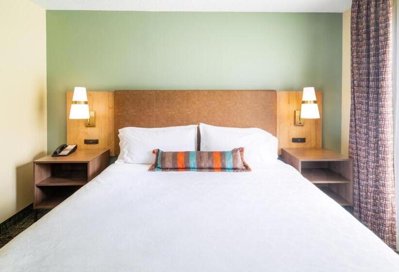 إستوديو قياسى, Staybridge Suites Memphis Poplar Ave East, An Ihg