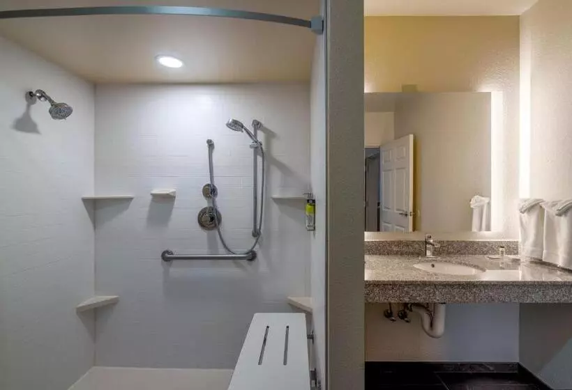 身障者適用キングサイズベッドルーム, Staybridge Suites Memphis Poplar Ave East, An Ihg