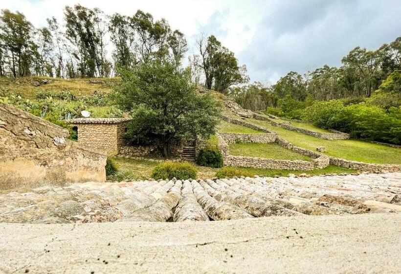 스탠다드 트리플 룸, Agriturismo Bannata