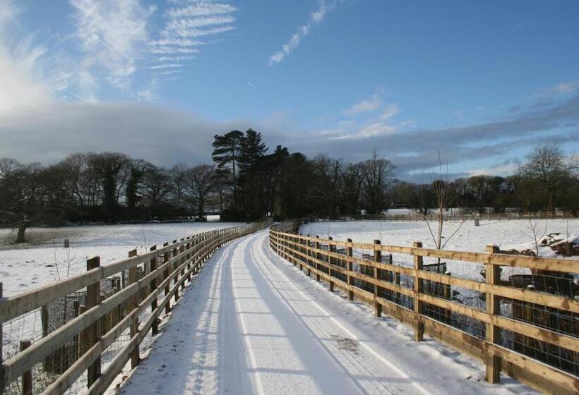 Bungalow Sandard, Swansea Valley Holiday Cottages