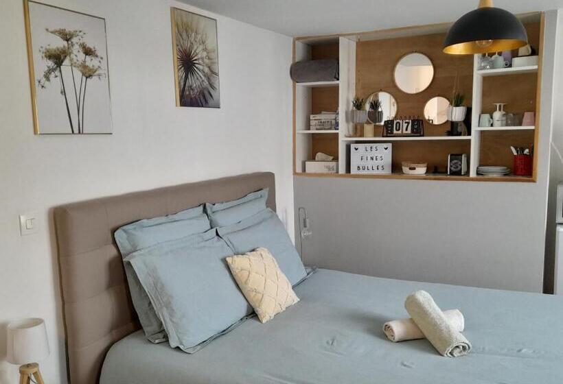 带大床的标准间, Les Fines Bulles & Spa