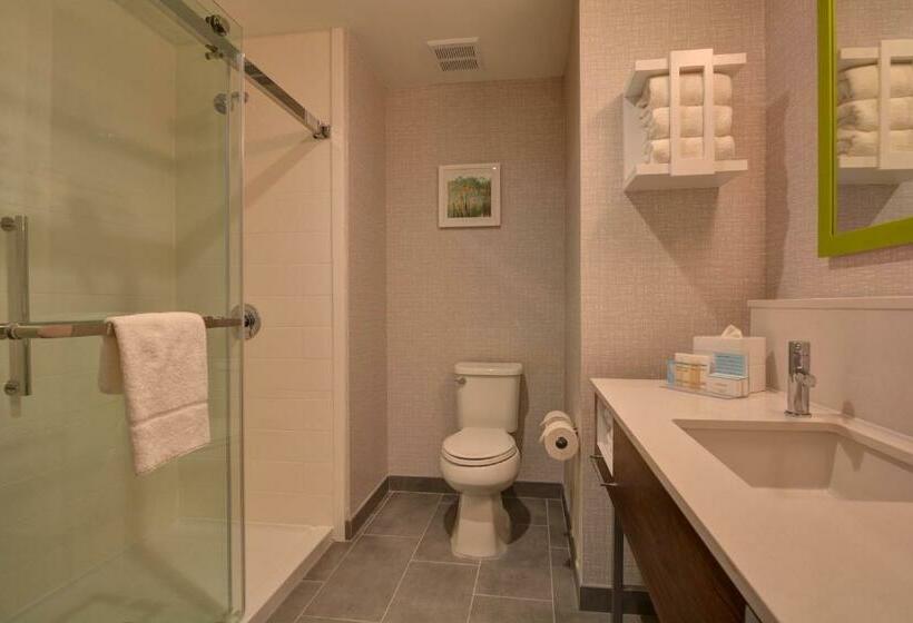 إستوديو قياسى سرير كينج, Hampton Inn & Suites Middleburg