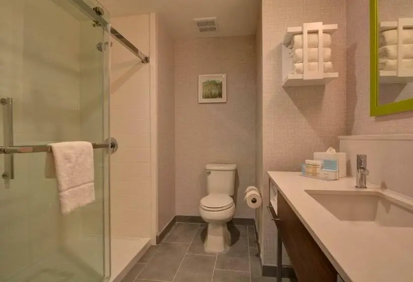 キングサイドベッドのスタンダードワンルーム, Hampton Inn & Suites Middleburg