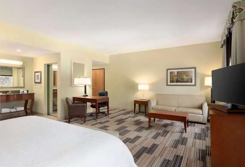 キングサイズベッドのスタンダードルーム, Hampton Inn & Suites Middleburg