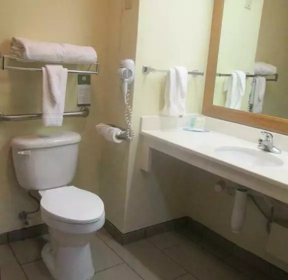 キングサイズベッドのスタンダードルーム, Comfort Inn & Suites