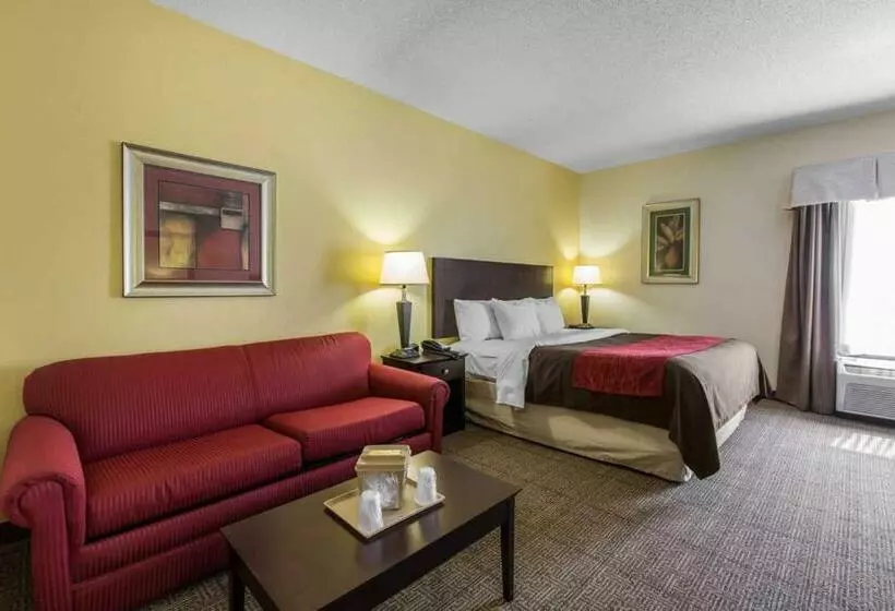 キングサイズベッドのスタンダードルーム, Comfort Inn & Suites