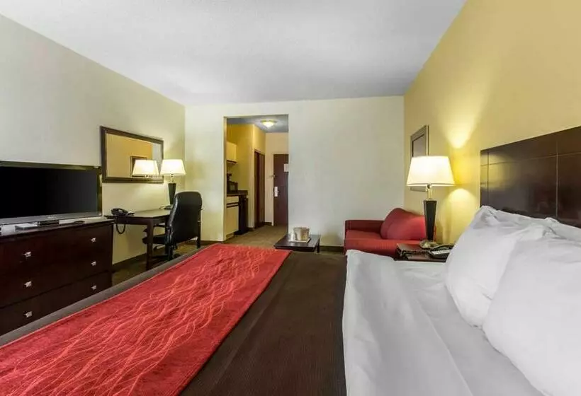 キングサイズベッドのスタンダードルーム, Comfort Inn & Suites