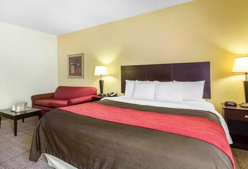 キングサイズベッドのスタンダードルーム, Comfort Inn & Suites