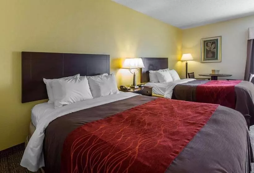 スタンダードルーム, Comfort Inn & Suites