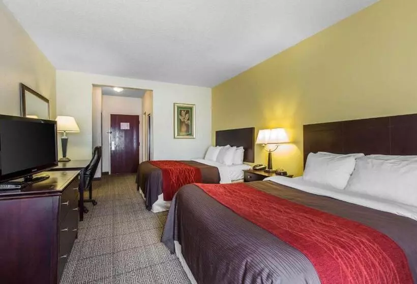 スタンダードルーム, Comfort Inn & Suites