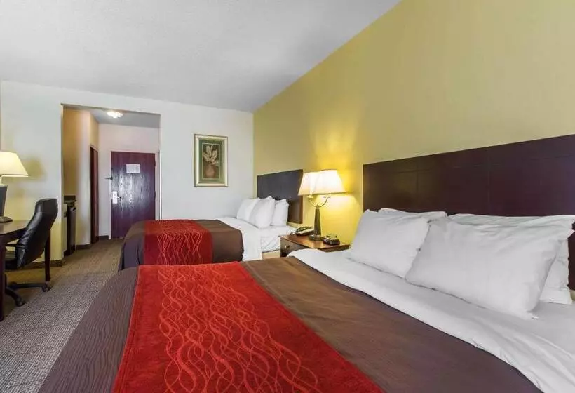 スタンダードルーム, Comfort Inn & Suites