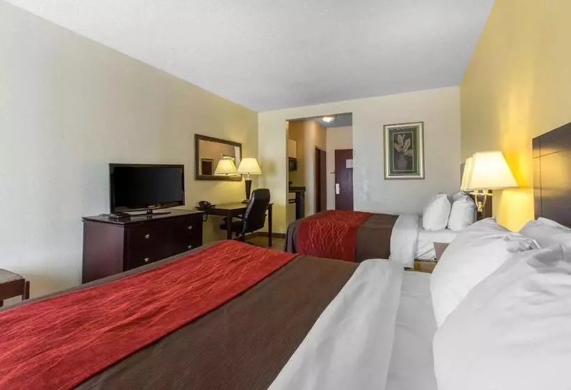 スタンダードルーム, Comfort Inn & Suites