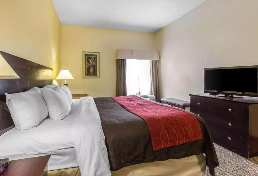 身障者適用キングサイズベッドルーム, Comfort Inn & Suites