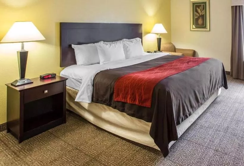 身障者適用キングサイズベッドルーム, Comfort Inn & Suites