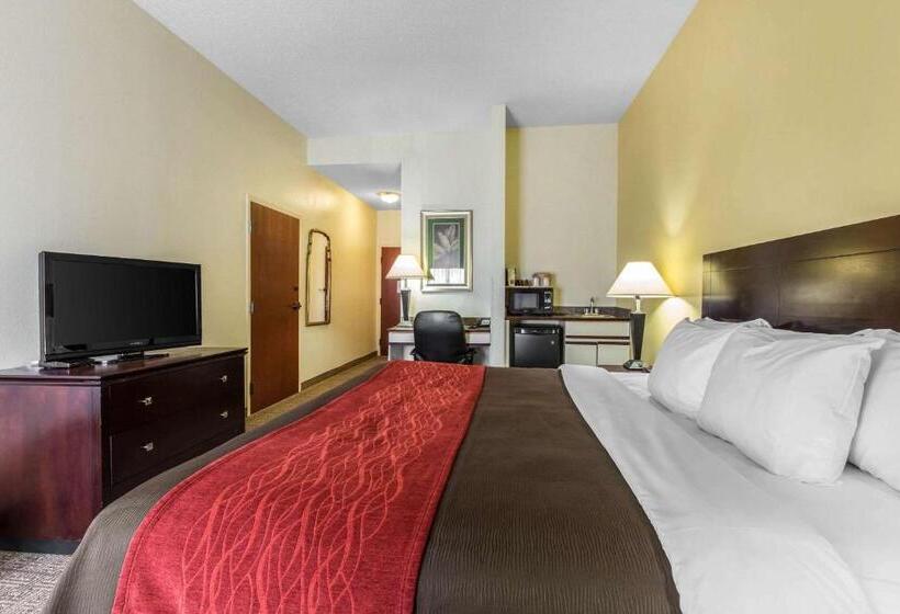 Номер Стандарт Кровать Кинг Адаптированный для Инвалидов, Comfort Inn & Suites